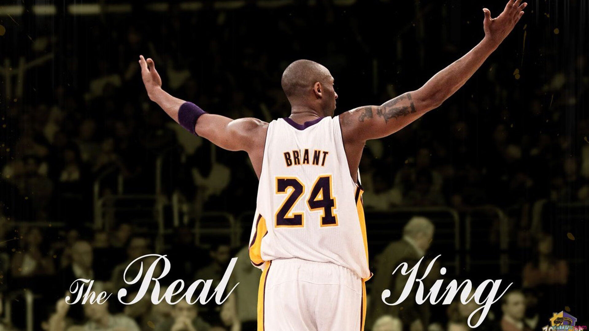 国王对阵吉林队，爱德华兹带队取胜，新星闪耀赛场