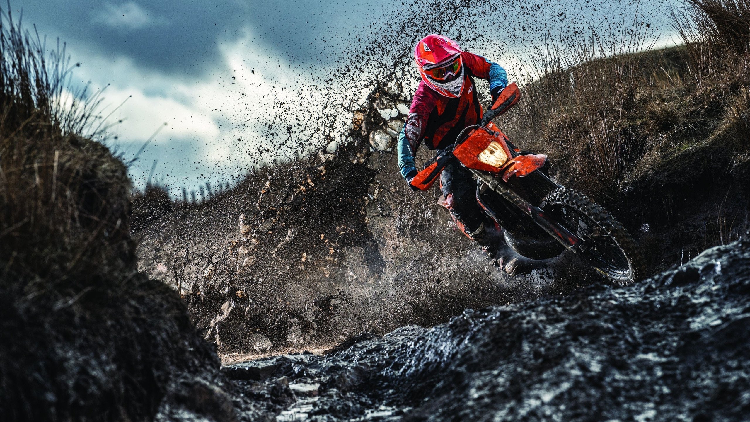 克莱在焦点战证明自己，鹈鹕决胜局带走辽宁队